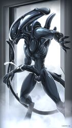 1boy 9:16 alien alien_(franchise) balls black_body black_skin bodily_fluids cierras cum cum_on_penis cumshot door doorway ejaculation fog genital_fluids genitals hi_res male male_only male_xenomorph penis saliva salivating solo xenomorph