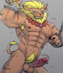 abs anthro armpit_hair balls blonde_hair blue_eyes bound claws clenched_teeth digimon ear_piercing erection feline hair humanoid_penis leomon male male_only mammal mane muscular muscular_male nipples nude pecs penis piercing precum pubes shackles solo sunspotfish sweat teeth