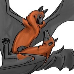 2018 5_toes anatomically_correct anatomically_correct_genitalia anatomically_correct_penis anvil_position balls bat bat_penis bat_wings betlv black_wings chest_tuft claws climaxing closed_eyes duo erection female feral feral_on_feral flying_fox fur happy happy_sex hi_res legs_up licking licking_lips looking_down looking_pleasured lying male male_penetrating mammal membranous_wings nude on_back orange_body orange_fur penetration penis pleasure_face sex shaded simple_background straight toe_claws toes tongue tongue_out tuft vaginal_penetration white_background wings