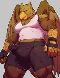 abs anthro avian beak big_muscles bulge clothed clothing erection erection_under_clothes gryphon knuxlight male male_only mature_male muscular muscular_male pecs penis_outline solo