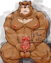 2015 barazoku bear blush circumcised erection grizzly_bear handjob humanoid_penis kemono kotobuki looking_down male mammal masturbation muscular obese overweight penis sex simple_background sitting solo steam sweat