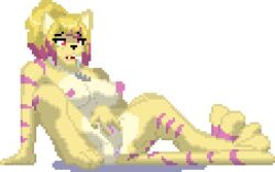 2018 alpha_channel amy_pratt animated anthro anus big_breasts blonde_hair breasts cat_tail digital_media_(artwork) ejaculation erect_nipples erection feline female female_only fingering fur furry furry_only furry_tail gif hair hand-drawn large_breasts low_res mammal masturbation nipples nude orgasm penetration pink_eyes pink_fur pink_hair pixel_art presenting presenting_anus presenting_pussy pussy pussy_ejaculation pussy_juice simple_background solo striped striped_fur striped_tail stripes tail transparent_background tsunamidusher vaginal_masturbation video_games white_fur yellow_fur