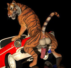 3d anus balls big_balls big_penis black_background car erection fangs feline feral looking_at_viewer looking_back male male_only mammal open_mouth penis rear_view simple_background solo tapiko tiger vehicle vein veiny_penis whiskers