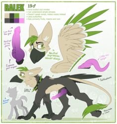 2018 absurd_res all_fours avian balls beak black_balls black_border border claws collar digital_media_(artwork) english_text fan_character feathered_wings feathers feral green_eyes green_feathers gryphon hi_res inner_ear_fluff knot male model_sheet pawpads penis ralek_(mlp) ralekarts spiked_collar spikes tail_tuft talons text tuft wings