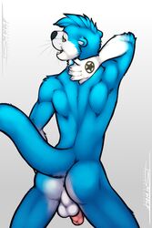 2018 5_fingers anthro anus ass backsack balls biped black_nose blue_fur blue_tail claws digital_media_(artwork) fur gradient_background hi_res humanoid_penis island_(character) looking_at_viewer looking_back male male_only mammal multicolored_fur mustelid nude open_mouth otter penis perineum pink_penis pinup portrait pose rear_view signature simple_background solo standing tattoo three-quarter_portrait tsaiwolf two_tone_fur webbed_hands whiskers white_balls white_claws white_fur yellow_eyes