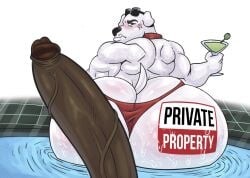 brian griffin from adult swim by furryonline1
