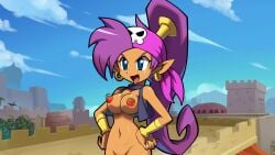 shantae (character) from shantae
