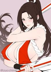 mai shiranui from fatal fury by zucchini