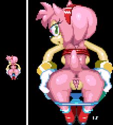 amy rose from sega by hotred