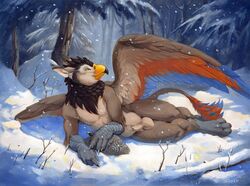 2019 4_toes 5_fingers animal_genitalia anthro avian balls beak day detailed_background digital_media_(artwork) feathered_wings feathers fingers forest gryphon lying male male_only nude on_side outside scale_(artist) sheath snow solo toes tree wings winter yellow_eyes