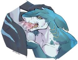 ambiguous_form anthro anthro_penetrated balls blue_body blue_eyes bodily_fluids cobu duo erection faceless_character faceless_male fellatio fin fin_piercing fish furgonomics furry-specific_piercing genitals gills grey_balls grey_body hand_on_head head_fin male male/male male_penetrated male_penetrating male_penetrating_male marine narrowed_eyes nude open_mouth oral penetration penile penis piercing pink_penis saliva saliva_on_penis sex shark sharp_teeth side_view solo_focus teeth vein veiny_penis white_body yellow_sclera yellow_teeth