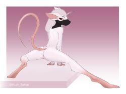 absurd_res anthro biped female flexible fur genitals hairless_tail hi_res looking_back mammal mask mask_only mrbuttonboi murid murine nude pose raised_tail rat rear_view red_eyes rodent skinny skinny_anthro skinny_female slim solo spread_legs spreading tail vulva wearing_mask white_body white_fur