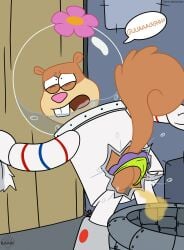 absurd_res ass bodily_fluids clothing desperation eastern_grey_squirrel english_text female genital_fluids genitals grey_squirrel hi_res mammal nickelodeon peeing peeing_underwater peril rodent sandy_cheeks sciurid solo speech_bubble spongebob_squarepants standing tail text thedispenser69 toilet torn_clothing tree_squirrel underwater urine vulva water