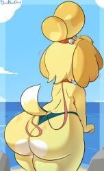 1girls animal_crossing anthro ass ass_focus beach big_ass bottom_heavy canid canine canis davidsanchan domestic_dog fat_ass female female_only furry furry_only gluteal_fold huge_ass isabelle_(animal_crossing) large_ass leash massive_ass outdoors png rear_view solo swimsuit tail thick_ass thick_thighs topless wide_hips yellow_fur