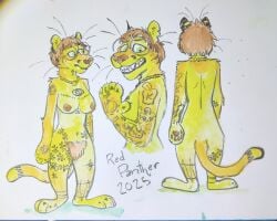 anthro big_breasts breasts cougar felid feline female fur gold hair hi_res kaccvcate mammal model_sheet nipples nude painting_(artwork) red_panther reference_image simple_background smile solo standing tail teeth traditional_media_(artwork) trans_(lore) trans_man_(lore) watercolor_(artwork)
