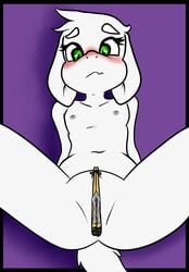 asriel_dreemurr female female_circumcision girly goat tagme undertale undertale_(series)