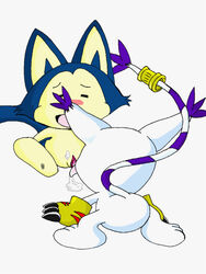 crossover digimon dragon_ball gatomon puar rule_63 shadowlink350 smooth_fur