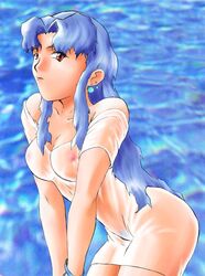 1girls artist_request blue_hair bracelet breasts curvaceous earrings el_hazard female ifurita jewelry large_breasts leaning_forward long_hair looking_at_viewer pale-skinned_female pale_skin pubic_hair pussy red_eyes see-through short_dress solo thick_thighs water wet wet_clothes wide_hips