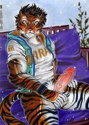 1boy 2010 anthro balls erection feline fur furry male male_only muscles noha penis solo tiger