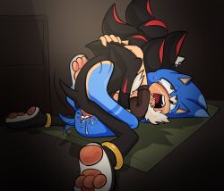 shadow the hedgehog from sega by justthewindlee