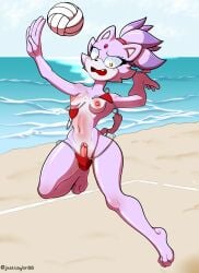 blaze the cat from sega by justtaylor