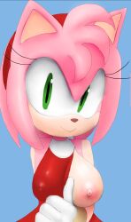 aerosin amy_rose breasts dress female flashing furry furry_female one_breast_out sega sonic_(series) sonic_the_hedgehog_(series)