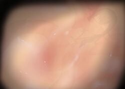 1girls animated big_belly birth birthing blush brain_fuck breasts breeding brown_hair cell_division censored cervical_penetration cervix cheek_bulge clenched_teeth closed_eyes cross_section cum cum_bath cum_in_mouth cum_in_pussy cum_in_uterus cum_inflated_belly cum_inside cumflation double_ear_penetration double_penetration drowning_in_cum ear_penetration eaten_then_fucked excessive_cum fallopian_tubes female heart-shaped_pupils human_mother_baby_monster id_badge id_card impregnation inflation inside_creature internal_view interspecies interspecies_impregnation lanyard light-skinned_female light_skin long_hair mind_break mind_broken mindbreak mindfuck monster monster_on_female mp4 murahachiro open_mouth oral ovaries ovum ovum_deformation penetration pregnancy pregnant pregnant_belly pregnant_female pregnant_sex pussy questionable_consent rape red_tentacles restrained restrained_by_tentacles sound sperm_cell spread_legs stomach_bulge tears tentacle tentacle_impregnation tentacle_in_ear tentacle_sex this_is_your_life_now uterus vaginal_birth vaginal_penetration vaginal_sex video vore x-ray zygote