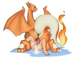charizard from nintendo by redponei
