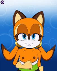 anthro blue_eyes breasts brown_fur clothing dr._chaos dress eyelashes female flat_chested gloves half-closed_eyes looking_at_viewer mammal marine_the_raccoon nipples orange_fur partially_clothed presenting procyonid raccoon sega simple_background small_breasts smile solo sonic_(series) top_down two_tone_fur undressing watermark young