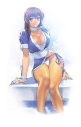 1girls big_breasts blue_dress breasts breasts_out brown_eyes brown_hair dead_or_alive dress exposed_breasts female homare_(fool's_art) japanese_clothes kasumi_(doa) kunoichi large_breasts long_hair ninja panties pantyshot pantyshot_(standing) underwear upskirt white_panties white_underwear