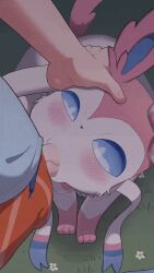 1boy 1girls 2d animated blowjob blue_eyes dakkoku_jiro eeveelution fellatio fellatio_from_feral female female_pokemon/male_human feral feral_penetrated gif hand_on_head human_penetrating male male_human/female_pokemon nintendo pokemon pokemon_(species) pokephilia shorter_than_10_seconds shorter_than_30_seconds straight sylveon zoophilia