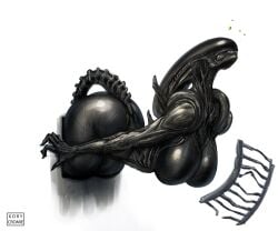 1girl alien alien_(franchise) alien_girl big_ass big_breasts female female_xenomorph kory_cromie solo_female stuck stuck_in_wall xenomorph