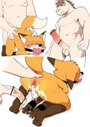 2020 canine duo ineffective_censorship junior_horse leaking male male_penetrating male_penetrating_male manmosu_marimo nude penis senior_fox