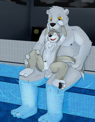 age_difference balls bear belly black_nose black_penis blue_eyes blue_tongue brown_eyes brown_fur chest_tuft danzer erection fur grabbing_muzzle grey_fur knox_(artist) legs_in_water male mammal mustelid otter penis pink_tongue polar_bear pool_(disambiguation) precum slightly_chubby spread_legs spreading tongue tuft uncut water yaoi