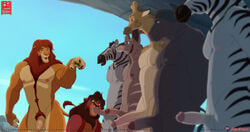 6+boys 7boys anhes anthro anthro_only balls disney gay giraffe happy_trail kovu lion male male_only oral penis pubic_hair simba the_lion_king yaoi zebra