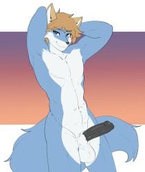 anthro balls biped blue_body blue_fur brown_hair canid canine canis countershade_face countershade_fur countershade_torso countershading erection eyebrow_through_hair eyebrows fur genitals glans hair hi_res humanoid_genitalia humanoid_penis male male_only mammal munkeesgomu penis renwuff solo translucent translucent_hair wolf