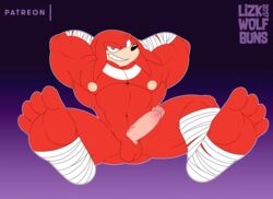 balls furry knuckles_the_echidna male_only muscular nipples penis solo sonic_(series) sonic_boom wolfbuns