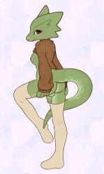 absurd_res anthro ass balls breasts brown_clothing brown_topwear clothed clothing clothing_lift genitals green_body green_scales gynomorph hi_res intersex kana_(golddrake) kiwijfruit kobold legwear partially_clothed penis presenting presenting_hindquarters raised_leg scales solo sweater sweater_lift tail thigh_highs topwear white_clothing white_legwear white_thigh_highs