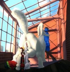 anal anal_penetration anal_vore animated anthro balls basilic_(character) big_ears big_penis blue_body blue_fur canid canine canis chakat ears_down felid felid_taur female female_penetrated fox fur genitals group herm huge_penis hyper hyper_genitalia hyper_penis intersex male mammal mammal_taur oral_vore penetration penis pivoted_ears secretden taur tongue tongue_out unbirthing vaginal vaginal_penetration vore white_body wolf
