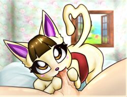 1boy 1girls 2018 animal_crossing anthro ass balls bed blowjob brown_hair cat_ears cat_tail cute detailed_background domestic_cat eyelashes eyes felid feline felis fellatio female fur hair handjob hands_on_penis looking_at_viewer male merry_(animal_crossing) nintendo on_bed oral penis pink_nose pov pov_male red_shirt shirt tail veiny_penis white_fur xxreplicatorxx yellow_eyes