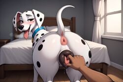 101_dalmatians about_to_have_sex adult adult_female ai ai-created ai_art ai_assisted ai_generated animal_genitalia animal_pussy anus bedroom bestiality big_pussy blush breathing_heavily brown_eyes canine canine_pussy canine_vulva dalmatian day daytime disney domestic_dog ears ears_down female female_feral heavy_breathing horny_female looking_at_viewer on_all_fours on_bed panting perdita puffy_anus pussy_juice pussy_juice_drip pussy_lips saliva_drip spotted_body spotted_fur tail thiccnutsacc tongue_out wagging_tail white_fur big_ass collar begging_for_sex ass_cheeks interspecies human_male brown_male fingering masturbating_other