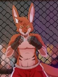 2018 anthro cage_match clothed clothing fence kangaroo looking_at_viewer male male_only mammal marsupial martinballamore navel solo topless