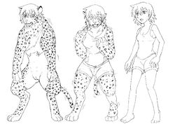 anthro breasts clothed clothing feline female hair human human_to_anthro killpanda leopard mammal monochrome mostly_nude open_mouth pussy sequence short_hair simple_background solo standing surprise torn_clothing transformation white_background