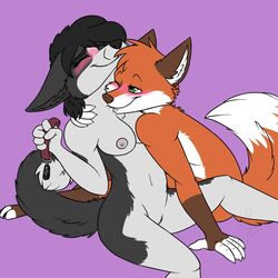 1boy 1girls 2018 blush breasts canine closed_eyes collar duo female fox furry green_eyes grey_fur male mammal mother mother_and_son nude orange_fur parent pussy sinligereep son straight