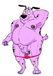 anthro balls beagle canine cartoon_network courage courage_the_cowardly_dog fur male male_only mammal nipples nude penis pink_fur slightly_chubby solo source_request unknown_artist