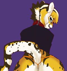 ambiguous_gender anthro anus cheetah clothed clothing collar feline fur hair mammal milkcrown multicolored_fur multicolored_hair purple_background simple_background