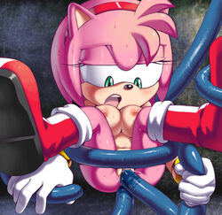 amy rose from sonic (series) by apostle