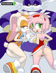 1boy 2girls amy_rose anthro anus ass big_the_cat brown_eyes collaborative_fellatio cream_the_rabbit double_handjob dress fellatio female fur furry green_eyes greenhand handjob hedgehog looking_at_viewer male multiple_girls netorare oral oral_sex penis pussy sega smiling sonic_(series) sonic_heroes straight straight_hair team_rose teamwork threesome twin_handjob upskirt young