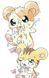 3boys artist_request cum hamster hamtaro hamtaro_(series) penis stan_(hamtaro) tagme