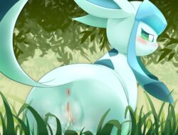 1girls 3sthrees all_fours anus ass blue_body blue_eyes blue_fur blush clitoris ears_back eeveelution female female_only feral fur furry glaceon grass green_eyes half-closed_eyes hi_res leaf long_ears nintendo nude outdoors peeing pokémon_(species) pokemon pokemon_dppt presenting presenting_hindquarters pussy raised_tail rear_view snout solo tail_aside thigh_gap urine video_games